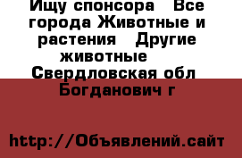 Ищу спонсора - Все города Животные и растения » Другие животные   . Свердловская обл.,Богданович г.